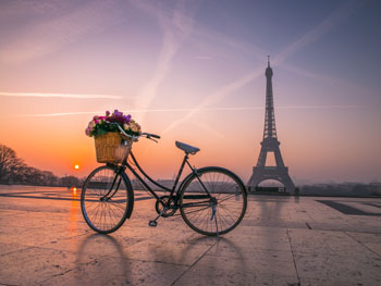 Bicycle with a basket of flowers next to the Eiffel tower